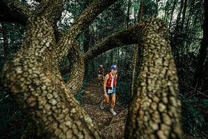 BIB: 
                            <button type="button" onclick="openModal(25668561)" class="btn btn-primary btn-sm float-right btn-popup" data-toggle="modal" data-target=".modal-high-quality">
                        <i class="fas fa-shopping-cart"></i> Add to Cart
                    </button>
                                            <button type="button" onclick="isThisMe(25668561, true)" class="btn btn-success btn-sm float-right btn-popup btn-isme hidden" data-toggle="tooltip" data-placement="bottom" title="นี่คือรูปของคุณใช่ไหม คลิกที่นี่เพื่อเอาเข้าอัลบั้ม">
                        <i class="fas fa-plus"></i> Add to album
                    </button>
                    <button type="button" onclick="isThisMe(25668561, false)" class="btn btn-warning btn-sm float-right btn-popup btn-isnotme hidden">
                        <i class="fas fa-ban"></i> Remove from album
                    </button>